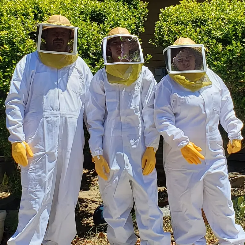 Bee removal near me